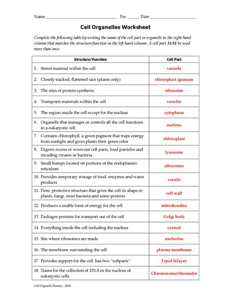 cells and organelles worksheet cut and paste answer key